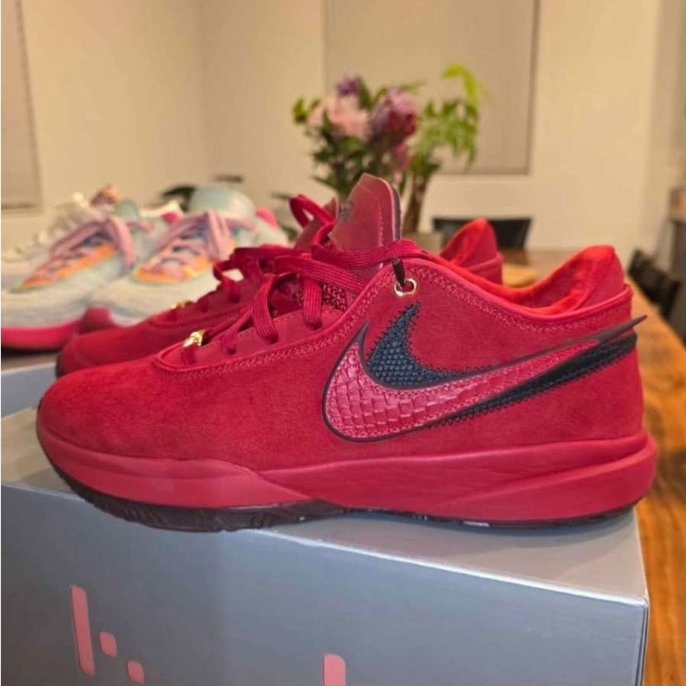 LeBron shoes